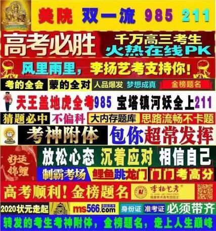 image-20200708133615822